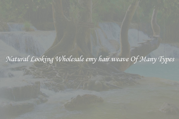 Natural Looking Wholesale emy hair weave Of Many Types