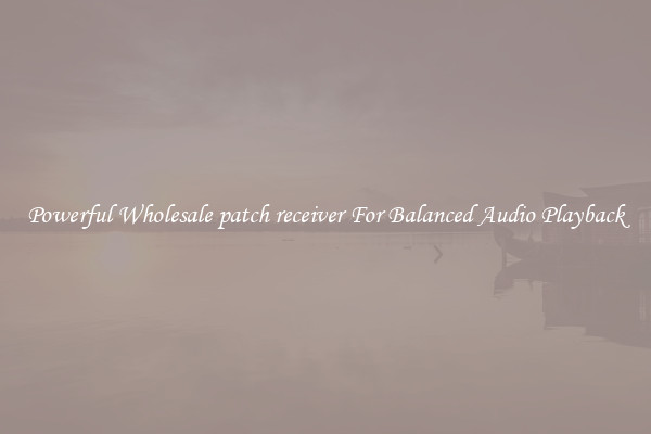 Powerful Wholesale patch receiver For Balanced Audio Playback