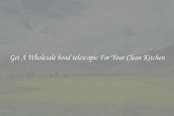 Get A Wholesale hood telescopic For Your Clean Kitchen