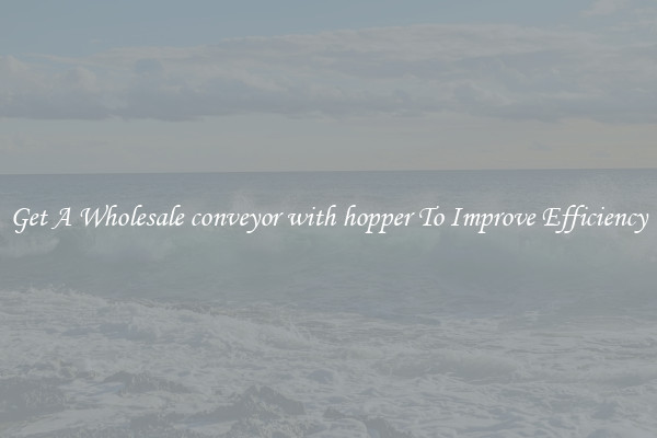 Get A Wholesale conveyor with hopper To Improve Efficiency