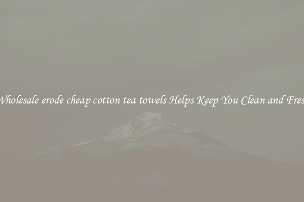 Wholesale erode cheap cotton tea towels Helps Keep You Clean and Fresh