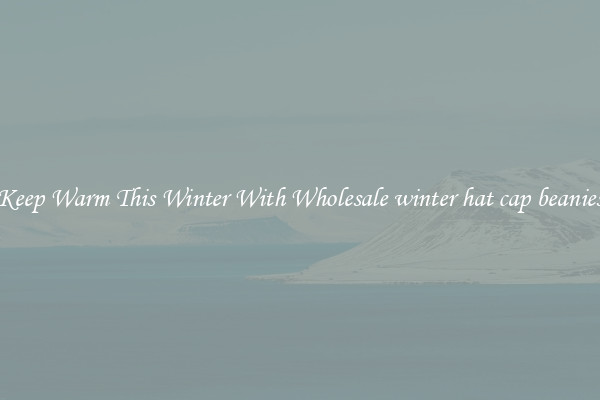 Keep Warm This Winter With Wholesale winter hat cap beanies