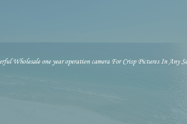 Powerful Wholesale one year operation camera For Crisp Pictures In Any Setting