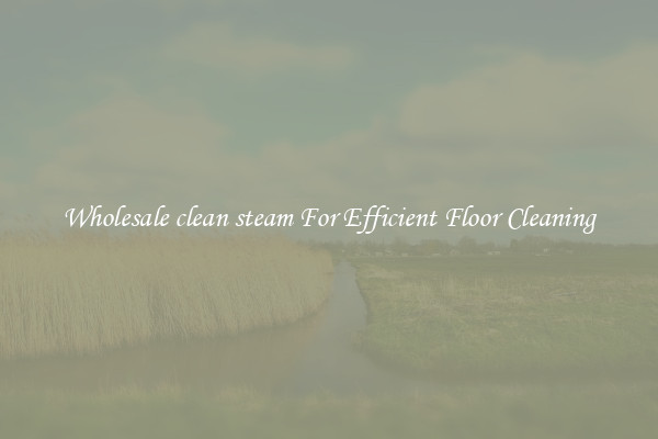 Wholesale clean steam For Efficient Floor Cleaning