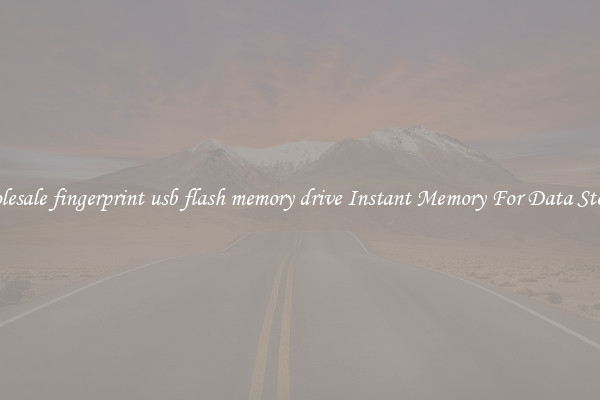 Wholesale fingerprint usb flash memory drive Instant Memory For Data Storage