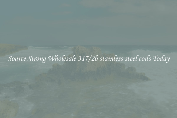 Source Strong Wholesale 317/2b stainless steel coils Today