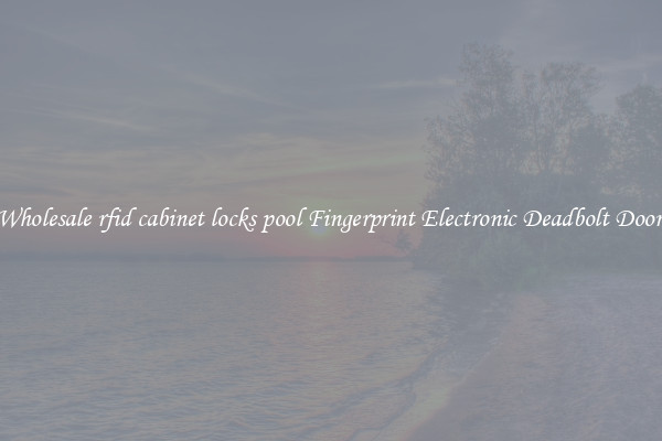 Wholesale rfid cabinet locks pool Fingerprint Electronic Deadbolt Door 