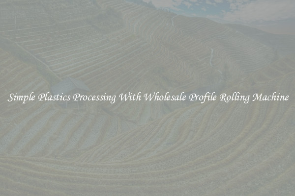Simple Plastics Processing With Wholesale Profile Rolling Machine