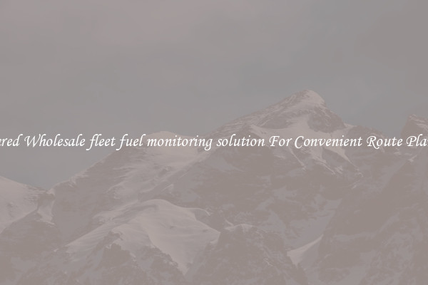 Featured Wholesale fleet fuel monitoring solution For Convenient Route Planning 