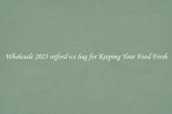 Wholesale 2023 oxford ice bag for Keeping Your Food Fresh