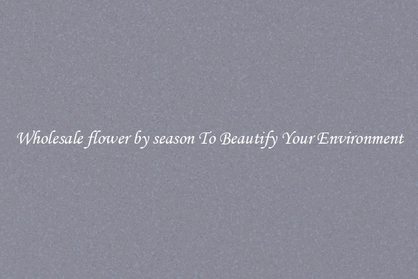 Wholesale flower by season To Beautify Your Environment