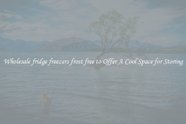 Wholesale fridge freezers frost free to Offer A Cool Space for Storing