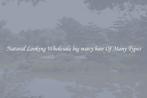 Natural Looking Wholesale big wavy hair Of Many Types