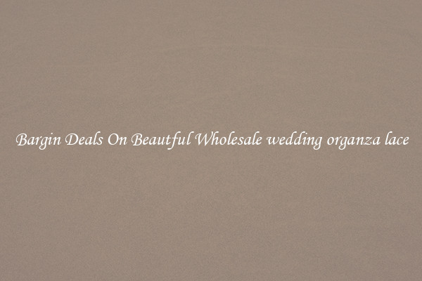 Bargin Deals On Beautful Wholesale wedding organza lace