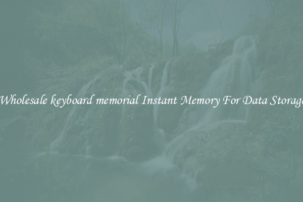 Wholesale keyboard memorial Instant Memory For Data Storage