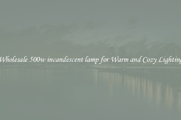 Wholesale 500w incandescent lamp for Warm and Cozy Lighting