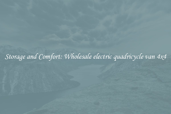 Storage and Comfort: Wholesale electric quadricycle van 4x4