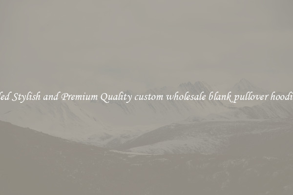 Branded Stylish and Premium Quality custom wholesale blank pullover hoodies men