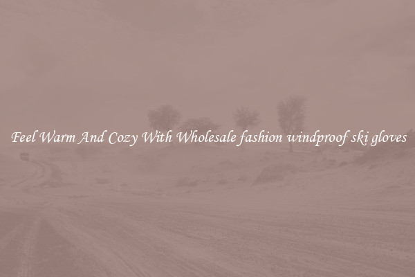 Feel Warm And Cozy With Wholesale fashion windproof ski gloves